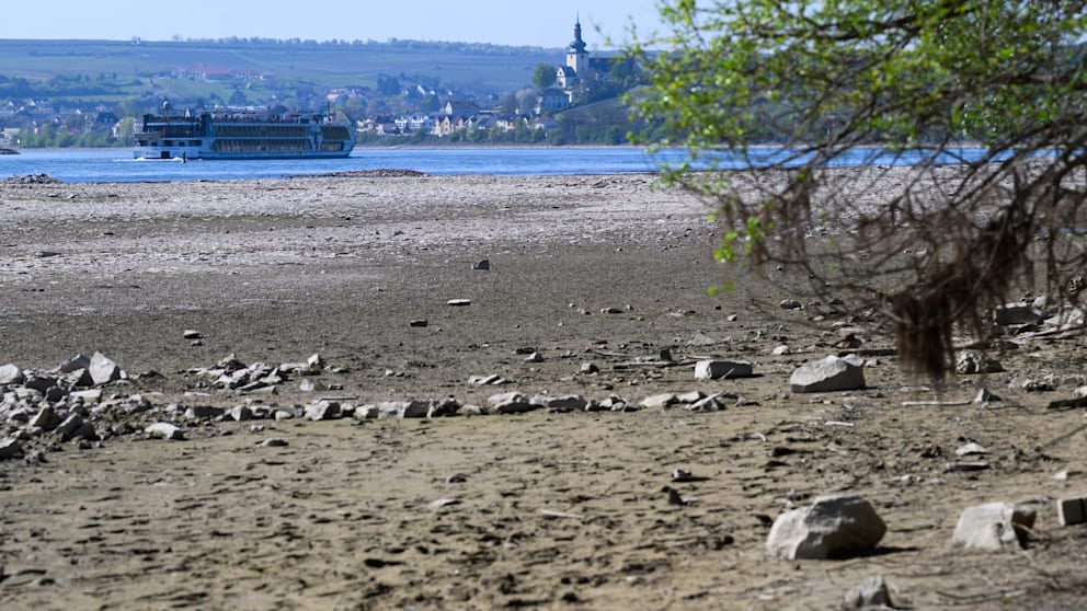 Statt blauem Rhein braunes Flussbett: Bis zu zwei Drittel der Rhein-Breite ist leer. Wie bei Nierstein (Rheinland-Pfalz)