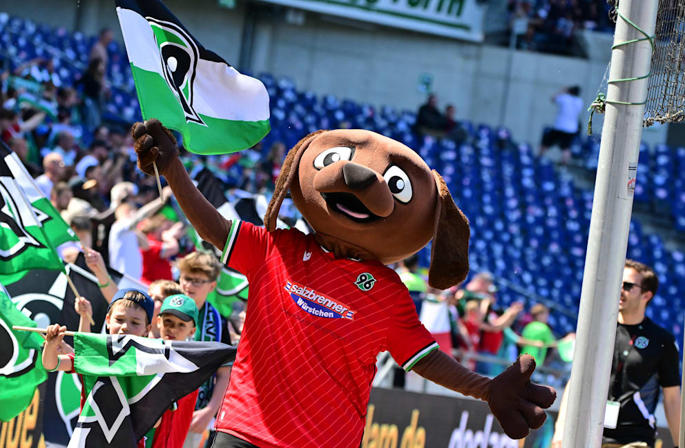 Eddi heißt das Maskottchen von Hannover 96. Der Hund hat immer gute Laune xxx xxx