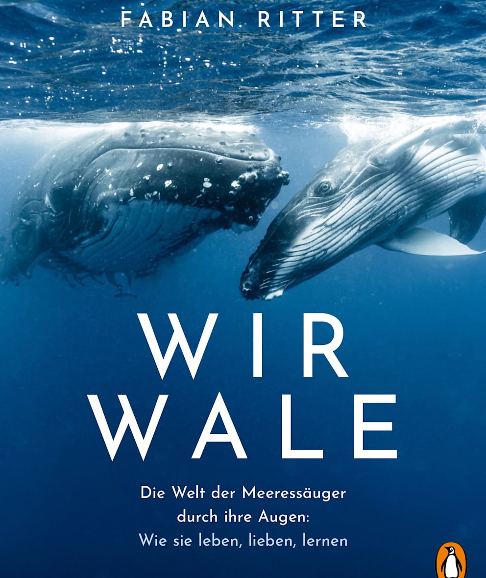„Wir Wale“ von Fabian Ritter, Penguin Verlag, 400 Seiten, 29,00 Euro