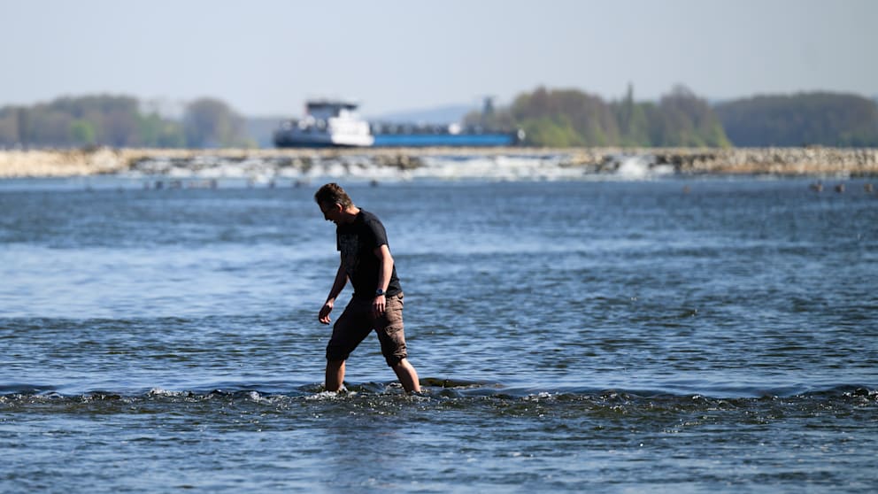 Der Rhein ist – außer der Fahrrinne – so seicht, dass man drin laufen kann