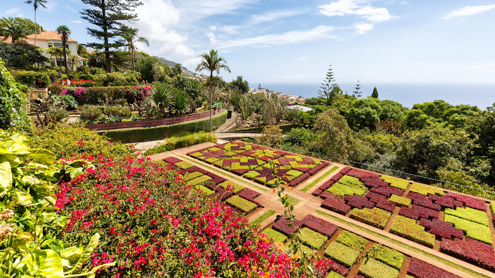 Exotische Blumen und Pflanzen im Botanischen Garten in Funchal, Madeira