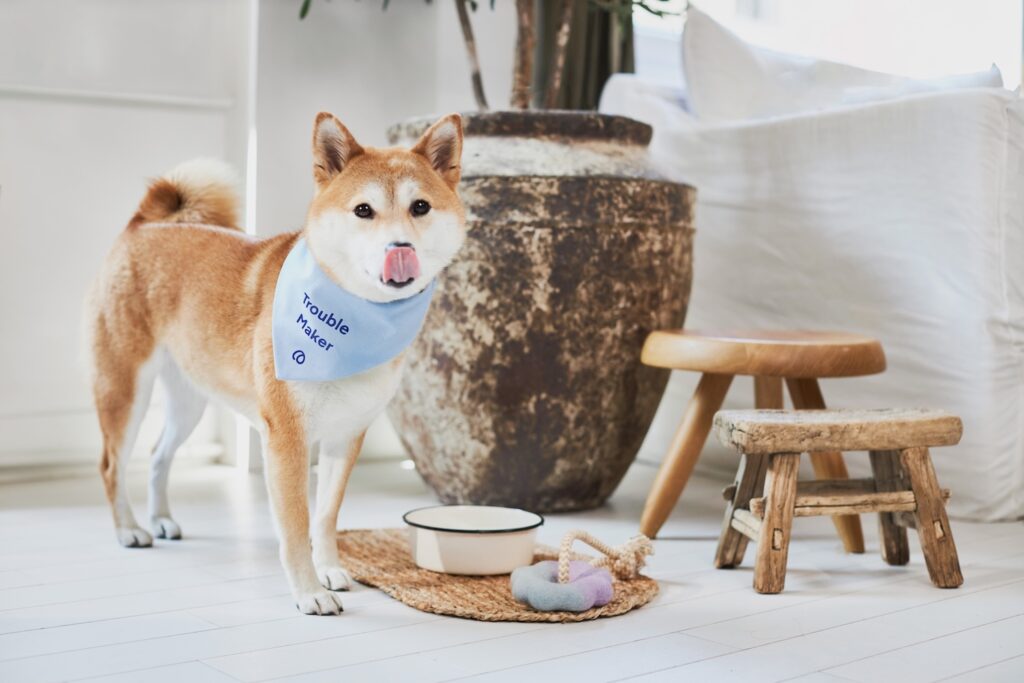 Lassie seriös