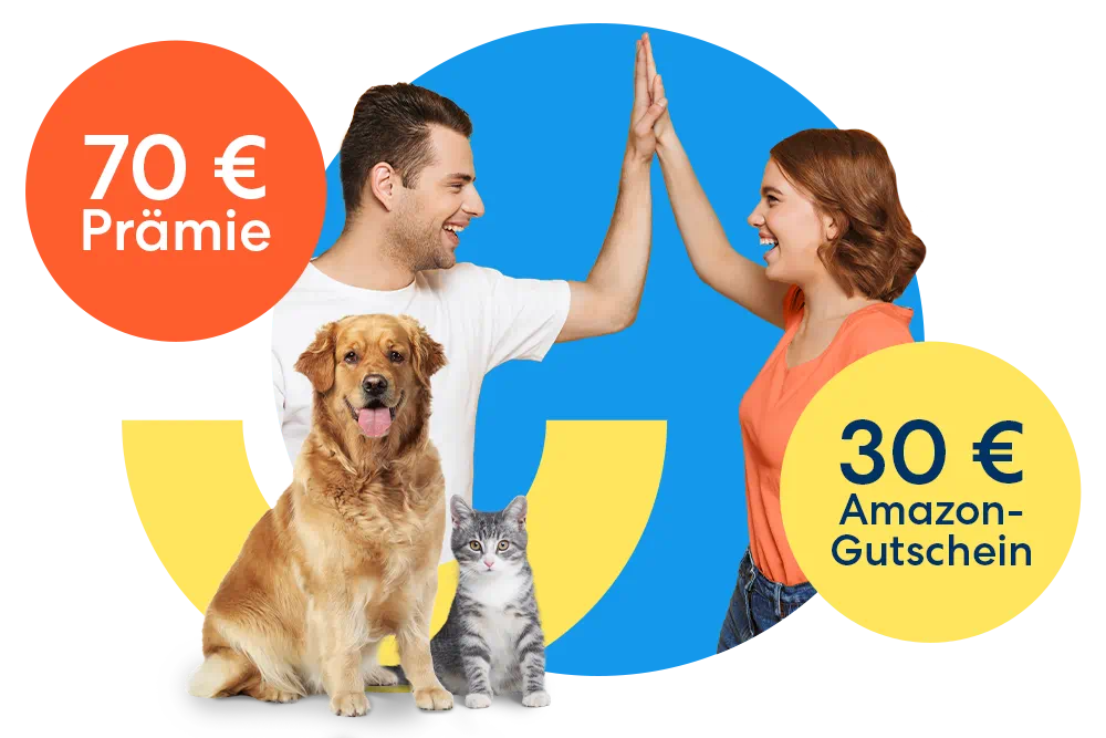 Tell a Friend Aktion für Tierkrankenversicherungen der DA Direkt: 70€ Prämie und 30 € Amazon-Gutschein sichern.