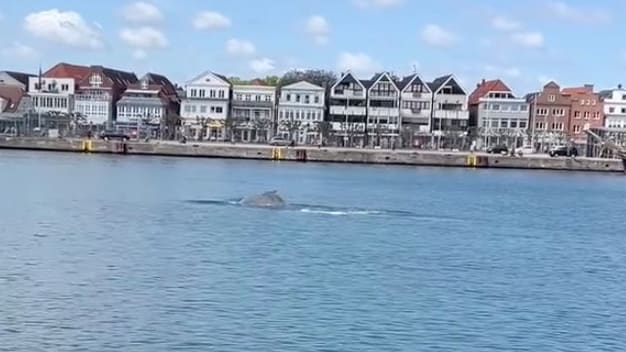 Für wenige Augenblicke nahe der Bootstankstelle in Travemünde auf