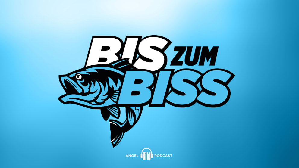 Teaser-Bild