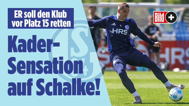 FC Schalke: Große Sensation im Kader – Er soll den Klub vor Platz 15 retten