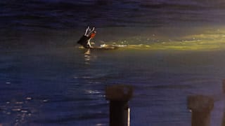 Hatte er Bock, zu schwimmen? Feuerwehr rettet Reh aus Hafen in Flensburg