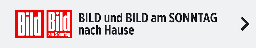 Teaser-Bild