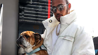 Nach Lungenentzündung: Lewis Hamilton gibt Update zu seinem Hund Roscoe