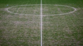 Dynamo Dresden braucht frisches Gras für den Aufstieg