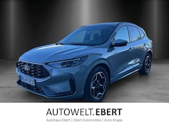 Ford Kuga ST-Line FHEV Winter P. LM 19Z 360 Kamera