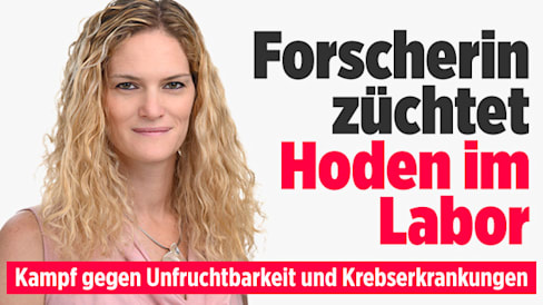 Kampf gegen Unfruchtbarkeit: Gibt es bald Hoden aus dem Labor?