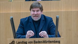 Aufregung im Ländle: Der Grüne und das Nackt-Poster