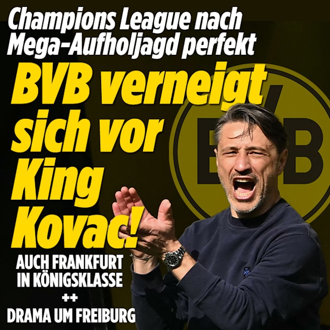 Bundesliga: Borussia Dortmund macht die Champions League perfekt! 