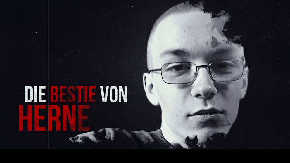 Teaser-Bild