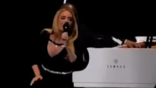 Konzert-Eklat bei Adele: Mega-Star pöbelt gegen Fan