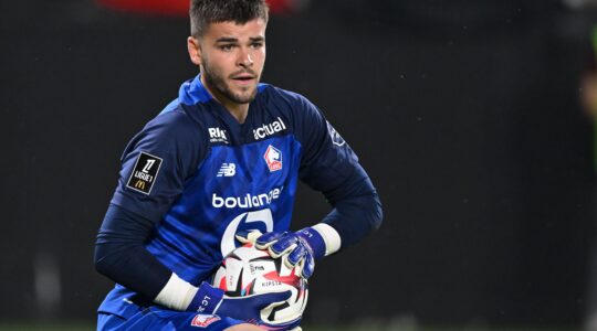 Bologna - Lille Tipp