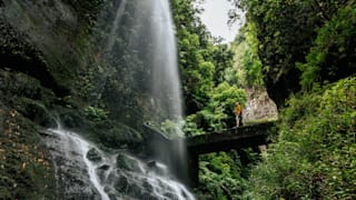 Umwelt-Lichtblicke: Weltuntergangs-Biologin plötzlich optimistisch
