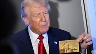 Trumps Gold Card: Elon Musk treibt Visa-Revolution voran