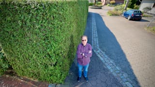 Behördenirrsinn: Diese Hecke soll gefährlich sein