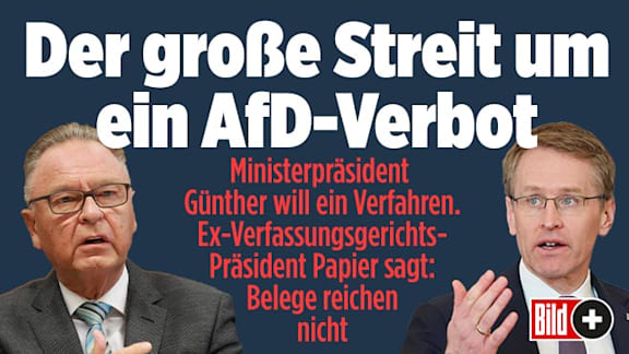 Streit ums AfD-Verbot – Juristen und Politiker uneins: Geht das überhaupt?