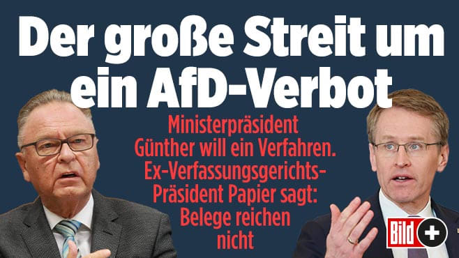 Streit ums AfD-Verbot – Juristen und Politiker uneins: Geht das überhaupt?