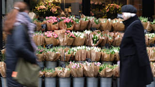 Die Tulpen-Preise knallen rauf