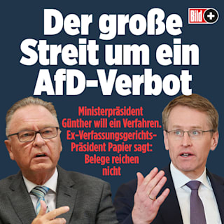 Streit ums AfD-Verbot – Juristen und Politiker uneins: Geht das überhaupt?