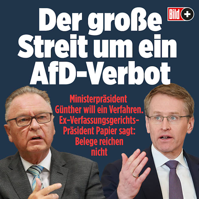 Streit ums AfD-Verbot – Juristen und Politiker uneins: Geht das überhaupt?