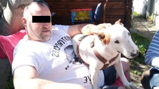Auf Facebook gibt sich Lehel L. (47) tierlieb. Bei seiner Freundin soll er kein Erbarmen gezeigt haben