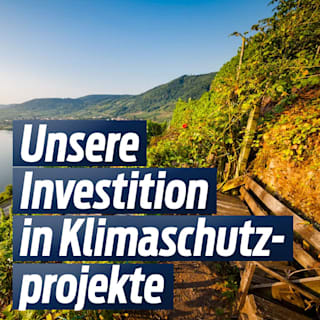 Projekte im Ausland: Unsere Investition in Klimaschutzprojekte