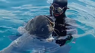Angler fangen Monster im Gardasee: Selbst Hunde nicht sicher vor ihnen