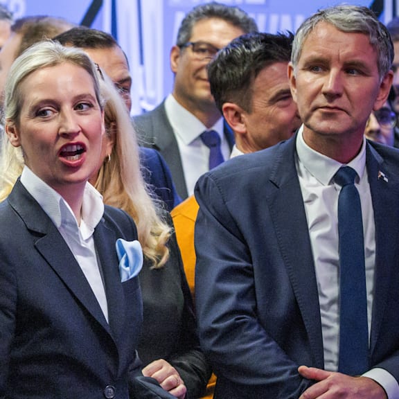 Streit ums AfD-Verbot – Juristen und Politiker uneins: Geht das überhaupt?