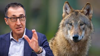Schwarz-Rot will Raubtier schießen lassen: Grünen-Minister lobt Plan
