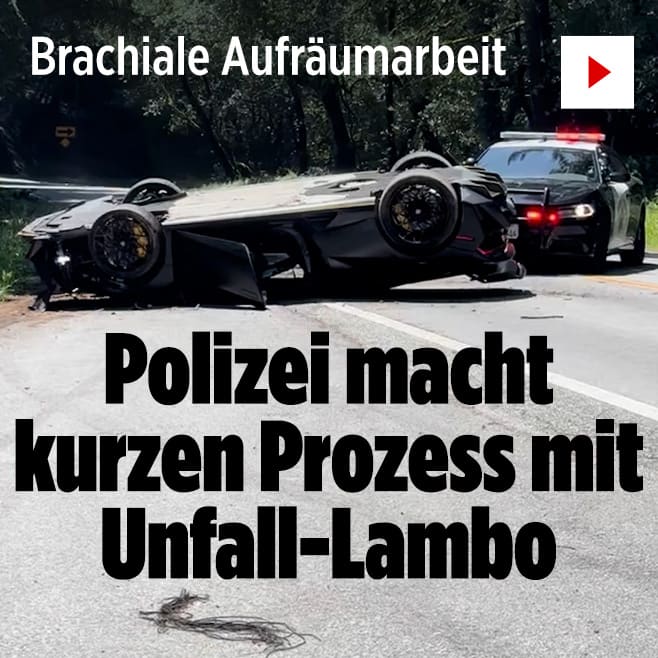 Brachiale Aufräumarbeit: Hier werden 300.000 Euro weggerammt