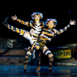 Erleben Sie CATS in Düsseldorf: VIP-Tickets gewinnen!