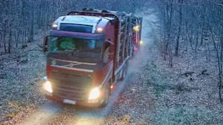 Erwischt! Eine Wildtierkamera filmte den Laster nach dem Holzklau in einem Wald bei Kassel (Hessen)
