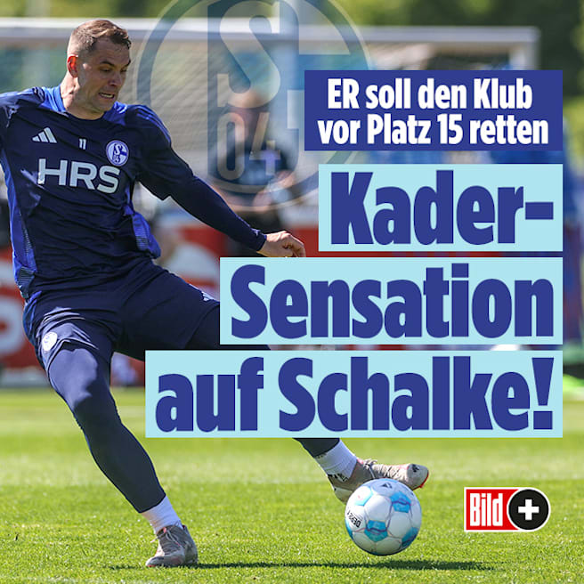 FC Schalke: Große Sensation im Kader – Er soll den Klub vor Platz 15 retten