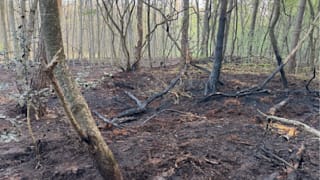 Im Wald bei Nettetal: Feuerwehrmänner sollen über 20 Brände gelegt haben
