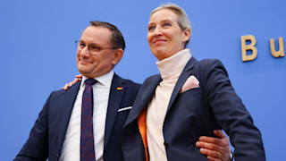 Verfassungsrechtler: Ist die AfD „gesichert rechtsextremistisch“?