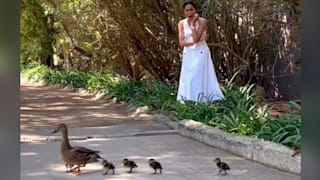 Herzogin Meghan: Ihr Watschel-Video soll eine Ente sein!