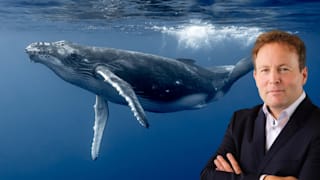 Kerzen rotteten die Wale beinahe aus – jetzt kehren die Tiere zurück