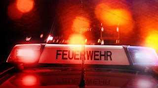 Gewitter in Berlstedt: Schnelles Handeln rettet Pferde