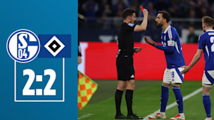 „Verf**kte Scheiße“: Schalke-Kapitän rastet nach Brutalo-Rot aus