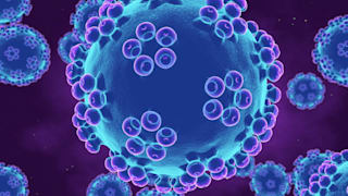 HPV: Alles zur Infektion, Symptome, Behandlung, Impfung und mehr