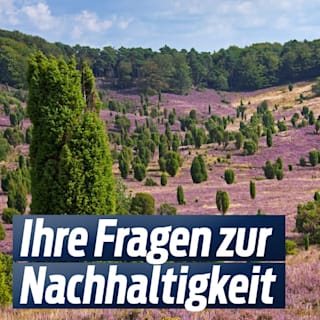 Wir übernehmen Verantwortung: Ihre Fragen zur Nachhaltigkeit