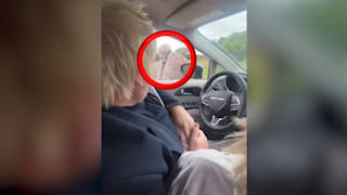 Aufschrei im Safaripark: Vogel Strauß attackiert Boris Johnson