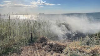 Feuer am Ostsee-Strand: Illegale Grillparty setzt Düne in Flammen