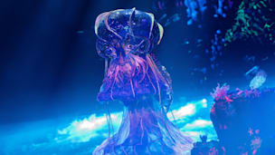 „The Masked Singer“: Versteckt sich diese Sängerin hinter der Qualle?