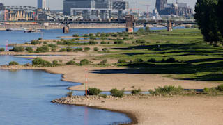 Viel Ufer, wenig Fluss: Der Rhein (hier bei Köln) führt derzeit besonders wenig Wasser